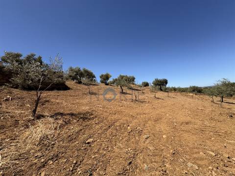 Terreno Rústico  Venda em Castro Vicente,Mogadouro