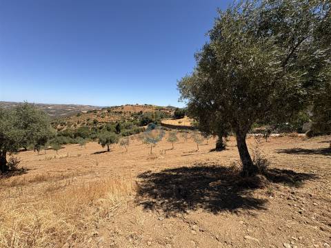 Terreno Rústico  Venda em Castro Vicente,Mogadouro