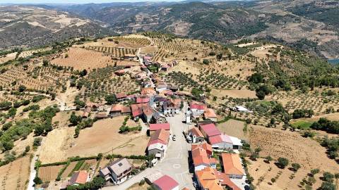 Terreno Rústico  Venda em Castro Vicente,Mogadouro