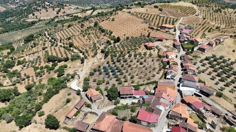 Terreno Rústico  Venda em Castro Vicente,Mogadouro