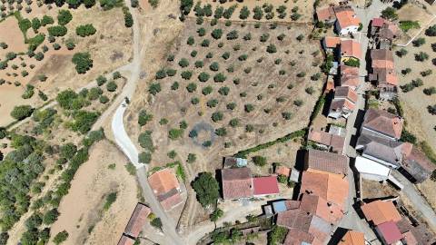 Terreno Rústico  Venda em Castro Vicente,Mogadouro