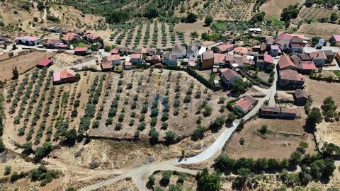 Terreno Rústico  Venda em Castro Vicente,Mogadouro