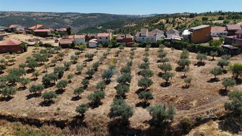 Terreno Rústico  Venda em Castro Vicente,Mogadouro
