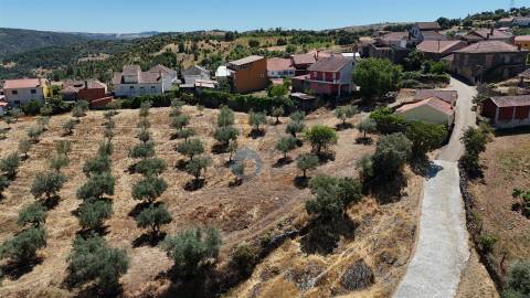 Terreno Rústico  Venda em Castro Vicente,Mogadouro