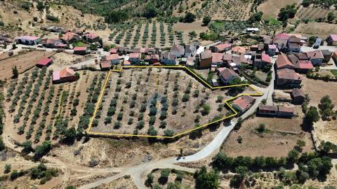 Terreno Rústico  Venda em Castro Vicente,Mogadouro