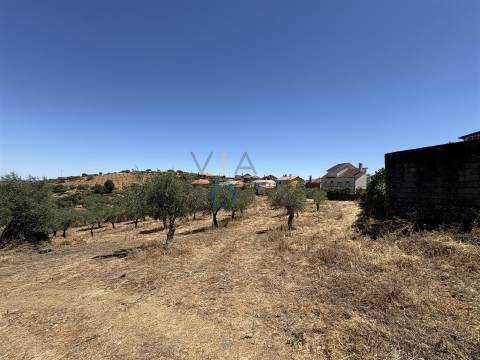Terreno Rústico  Venda em Castro Vicente,Mogadouro