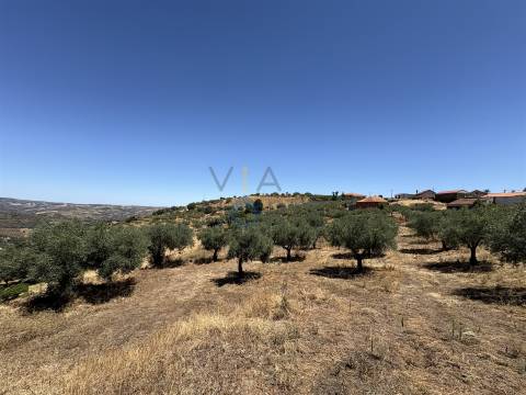 Terreno Rústico  Venda em Castro Vicente,Mogadouro