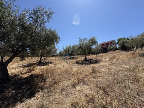 Terreno Rústico  Venda em Castro Vicente,Mogadouro