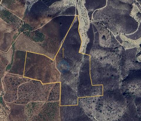 Terreno Rústico  Venda em Eucisia, Gouveia e Valverde,Alfândega da Fé