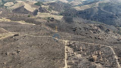 Terreno Rústico  Venda em Eucisia, Gouveia e Valverde,Alfândega da Fé