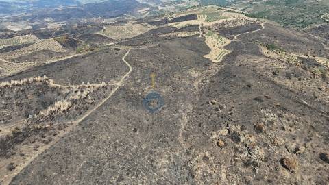 Terreno Rústico  Venda em Eucisia, Gouveia e Valverde,Alfândega da Fé
