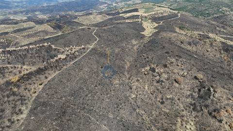 Terreno Rústico  Venda em Eucisia, Gouveia e Valverde,Alfândega da Fé