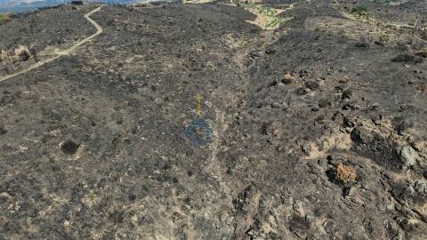 Terreno Rústico  Venda em Eucisia, Gouveia e Valverde,Alfândega da Fé