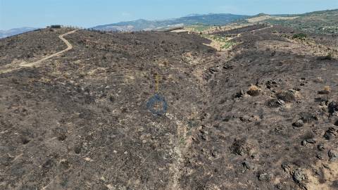 Terreno Rústico  Venda em Eucisia, Gouveia e Valverde,Alfândega da Fé