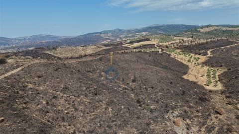 Terreno Rústico  Venda em Eucisia, Gouveia e Valverde,Alfândega da Fé
