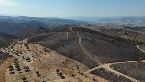 Terreno Rústico  Venda em Eucisia, Gouveia e Valverde,Alfândega da Fé