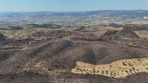 Terreno Rústico  Venda em Eucisia, Gouveia e Valverde,Alfândega da Fé