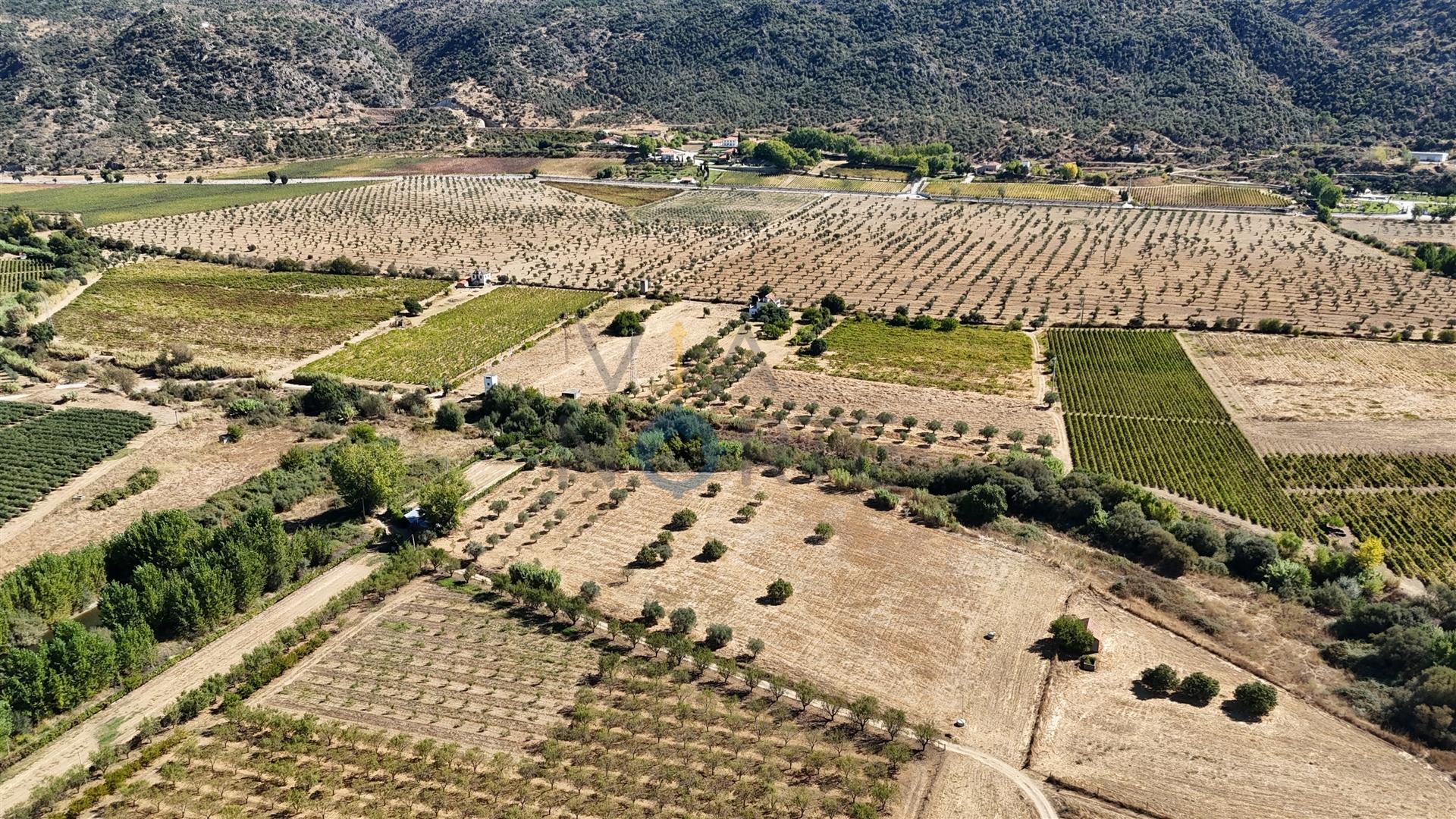 Terreno Rústico  Venda em Horta da Vilariça,Torre de Moncorvo