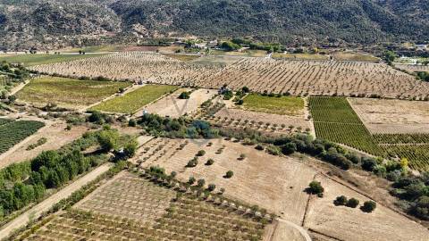 Terreno Rústico  Venda em Horta da Vilariça,Torre de Moncorvo