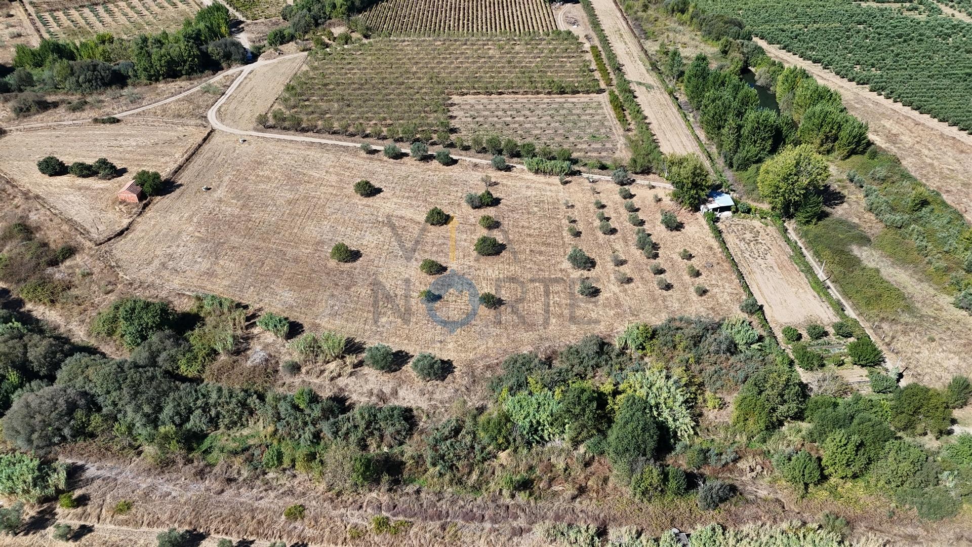 Terreno Rústico  Venda em Horta da Vilariça,Torre de Moncorvo