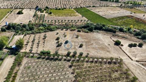 Terreno Rústico  Venda em Horta da Vilariça,Torre de Moncorvo