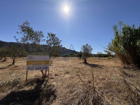 Terreno Rústico  Venda em Horta da Vilariça,Torre de Moncorvo