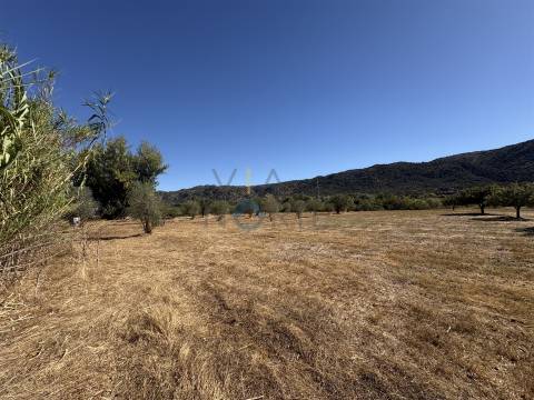 Terreno Rústico  Venda em Horta da Vilariça,Torre de Moncorvo