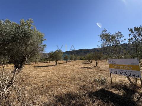 Terreno Rústico  Venda em Horta da Vilariça,Torre de Moncorvo
