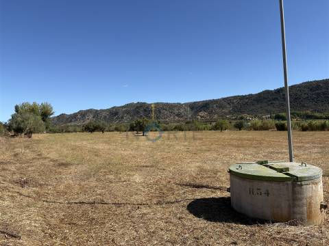 Terreno Rústico  Venda em Horta da Vilariça,Torre de Moncorvo