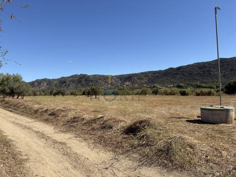 Terreno Rústico  Venda em Horta da Vilariça,Torre de Moncorvo