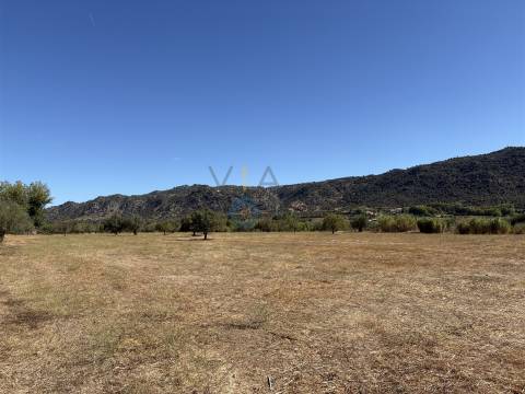 Terreno Rústico  Venda em Horta da Vilariça,Torre de Moncorvo