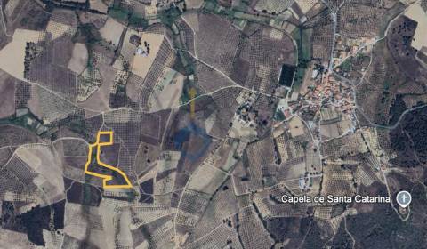 Terreno Rústico  Venda em Barcel, Marmelos e Valverde da Gestosa,Mirandela