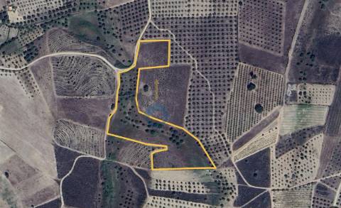 Terreno Rústico  Venda em Barcel, Marmelos e Valverde da Gestosa,Mirandela