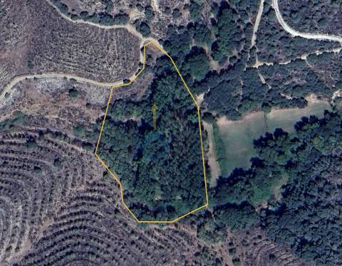 Terreno Rústico  Venda em Agrobom, Saldonha e Vale Pereiro,Alfândega da Fé