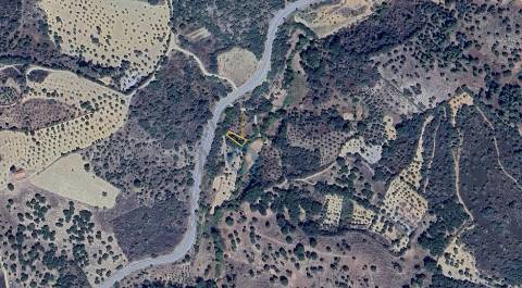 Terreno Rústico  Venda em Agrobom, Saldonha e Vale Pereiro,Alfândega da Fé