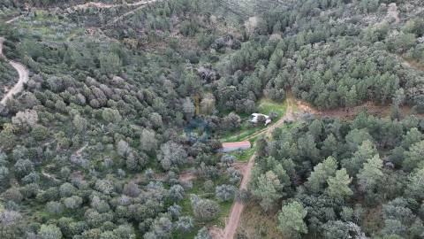 Quinta  Venda em Alfândega da Fé,Alfândega da Fé