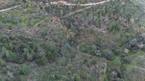 Quinta  Venda em Alfândega da Fé,Alfândega da Fé