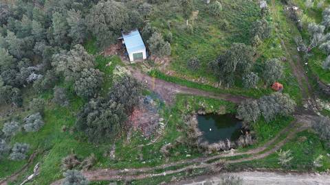 Quinta  Venda em Alfândega da Fé,Alfândega da Fé