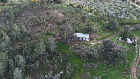 Quinta  Venda em Alfândega da Fé,Alfândega da Fé