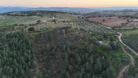 Quinta  Venda em Alfândega da Fé,Alfândega da Fé