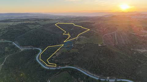 Quinta  Venda em Alfândega da Fé,Alfândega da Fé