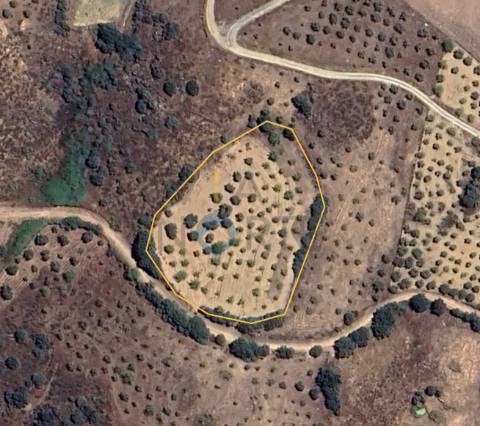 Terreno Rústico  Venda em Alfândega da Fé,Alfândega da Fé