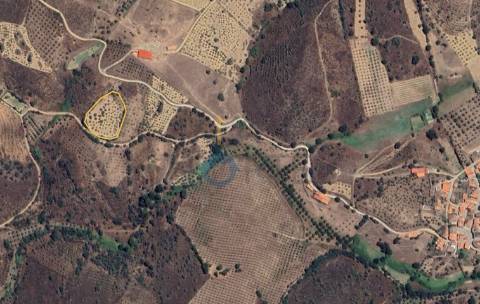 Terreno Rústico  Venda em Alfândega da Fé,Alfândega da Fé