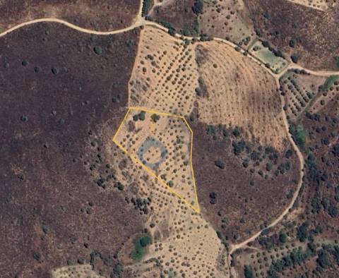 Terreno Rústico  Venda em Alfândega da Fé,Alfândega da Fé