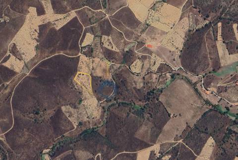 Terreno Rústico  Venda em Alfândega da Fé,Alfândega da Fé