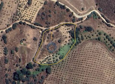 Terreno Rústico  Venda em Alfândega da Fé,Alfândega da Fé