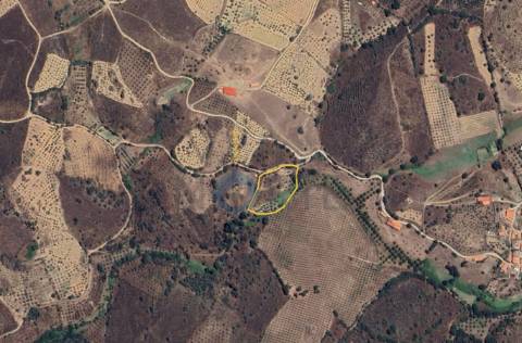 Terreno Rústico  Venda em Alfândega da Fé,Alfândega da Fé