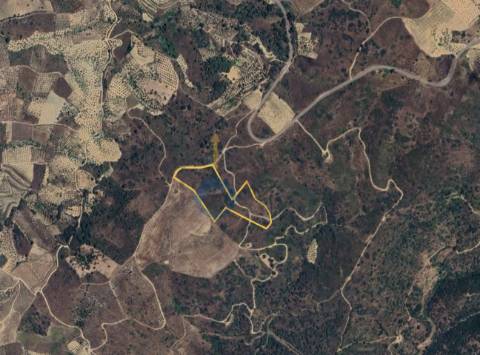 Terreno Rústico  Venda em Vilares de Vilariça,Alfândega da Fé