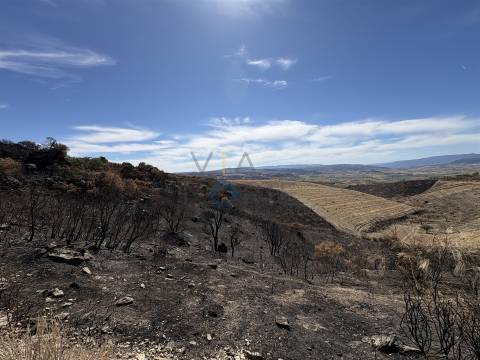 Terreno Rústico  Venda em Vilares de Vilariça,Alfândega da Fé