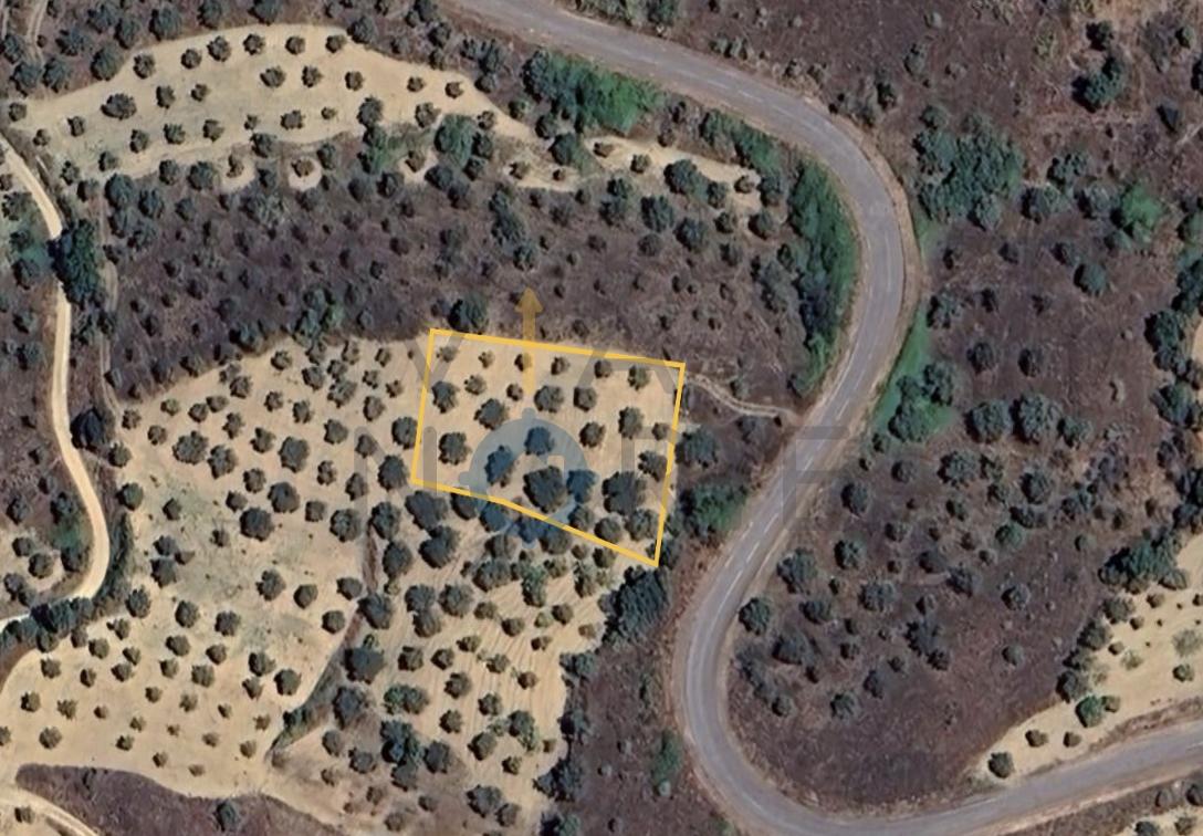 Terreno Rústico  Venda em Vilares de Vilariça,Alfândega da Fé